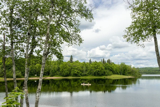 Fairy Lake seen through birch trees