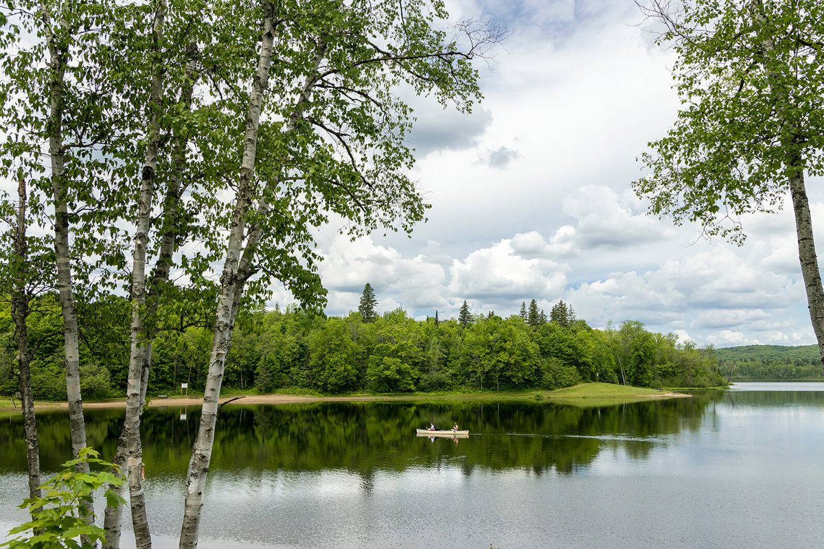 Fairy Lake seen through birch trees